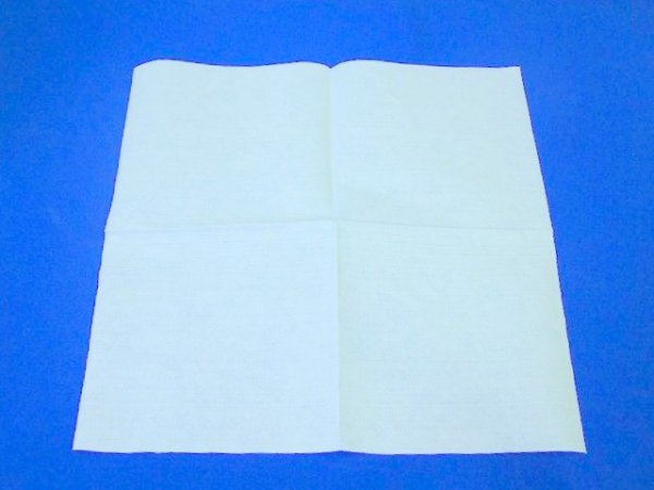 画像2: ワイプオール (2)