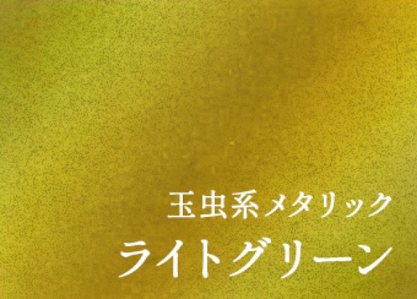 Amazon.co.jp: 美しい玉虫偏光漆一段重箱変わり塗り14 : おもちゃ