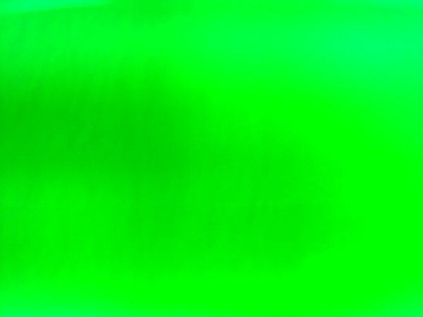 画像1: 透明緑 (1)