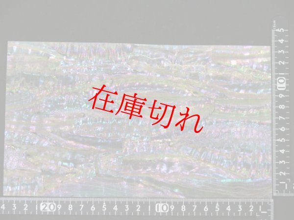 画像1: 柔軟青貝(シート) (1)