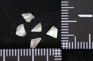 【専用】サブリナ様　青貝粉　小三小 、粒度ミジン、中三小 専用】サブリナ様 青貝粉 小三小 、粒度ミジン、中三小 青貝粉